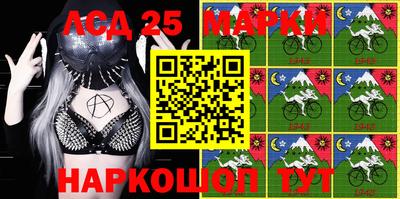 амф Новодвинск