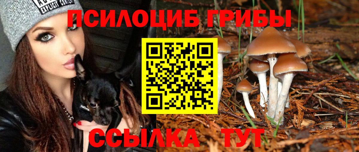 Сергиев Посад  Галлюциногенные грибы мицелий  Вход с VPN  Псилоцибиновые грибы Psilocybe 